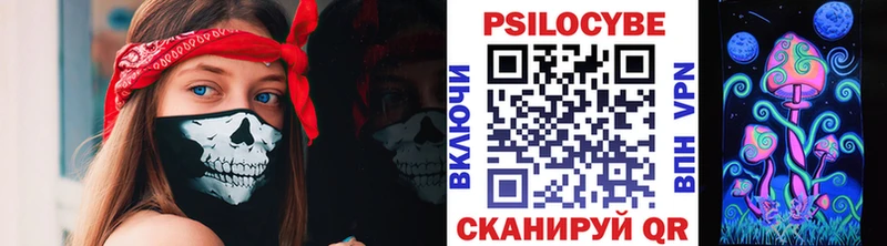 Псилоцибиновые грибы мицелий Юрьев-Польский