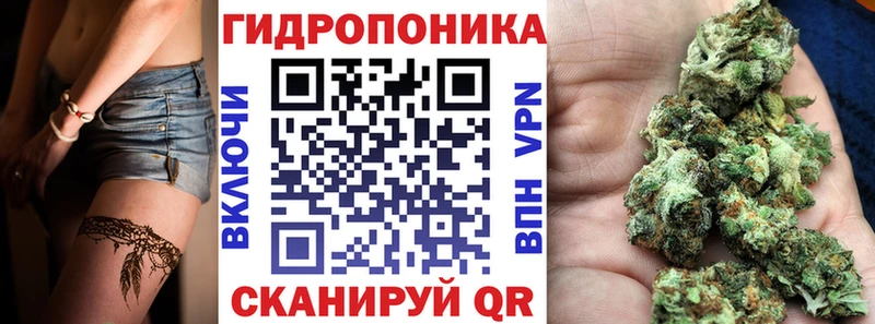 Бошки Шишки MAZAR Юрьев-Польский